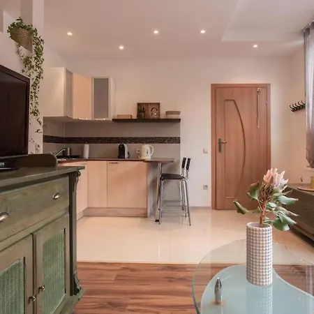 Typu Kamykowka W Sasiedztwie Gor I Lasow Piechowice شكلارسكا بوريبا