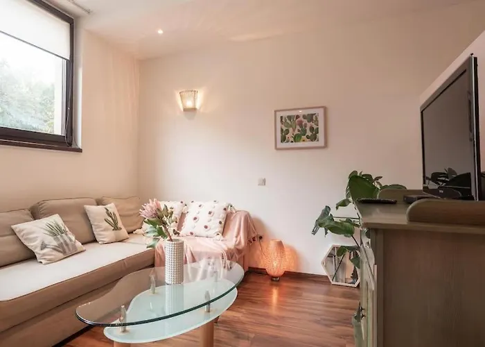 Typu Kamykowka W Sasiedztwie Gor I Lasow Piechowice Appartement